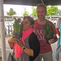 2017-08-25 Mijn Sansevieria en ik 19 2017-08-25 Mijn Sansevieria en ik 19
